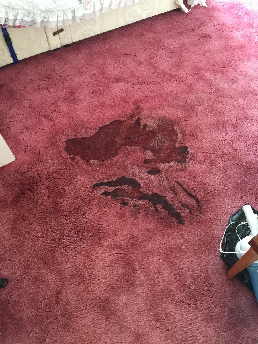 Cleaner: Image 7